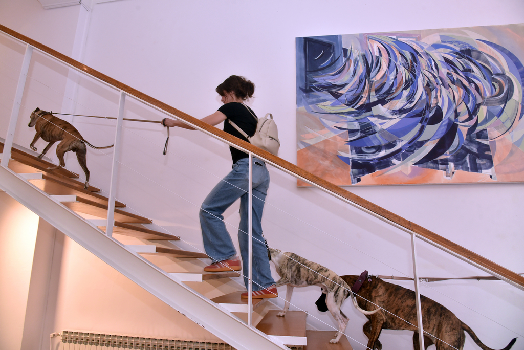 Gallery image